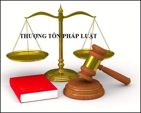 thuong ton phap luat